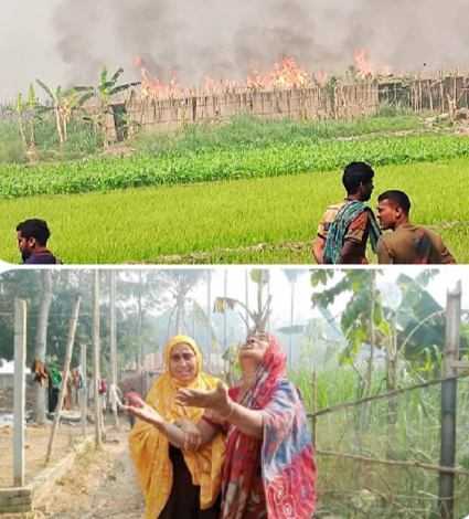 ভেড়ামারায় আগুনে পুড়লো কৃষকের স্বপ্ন