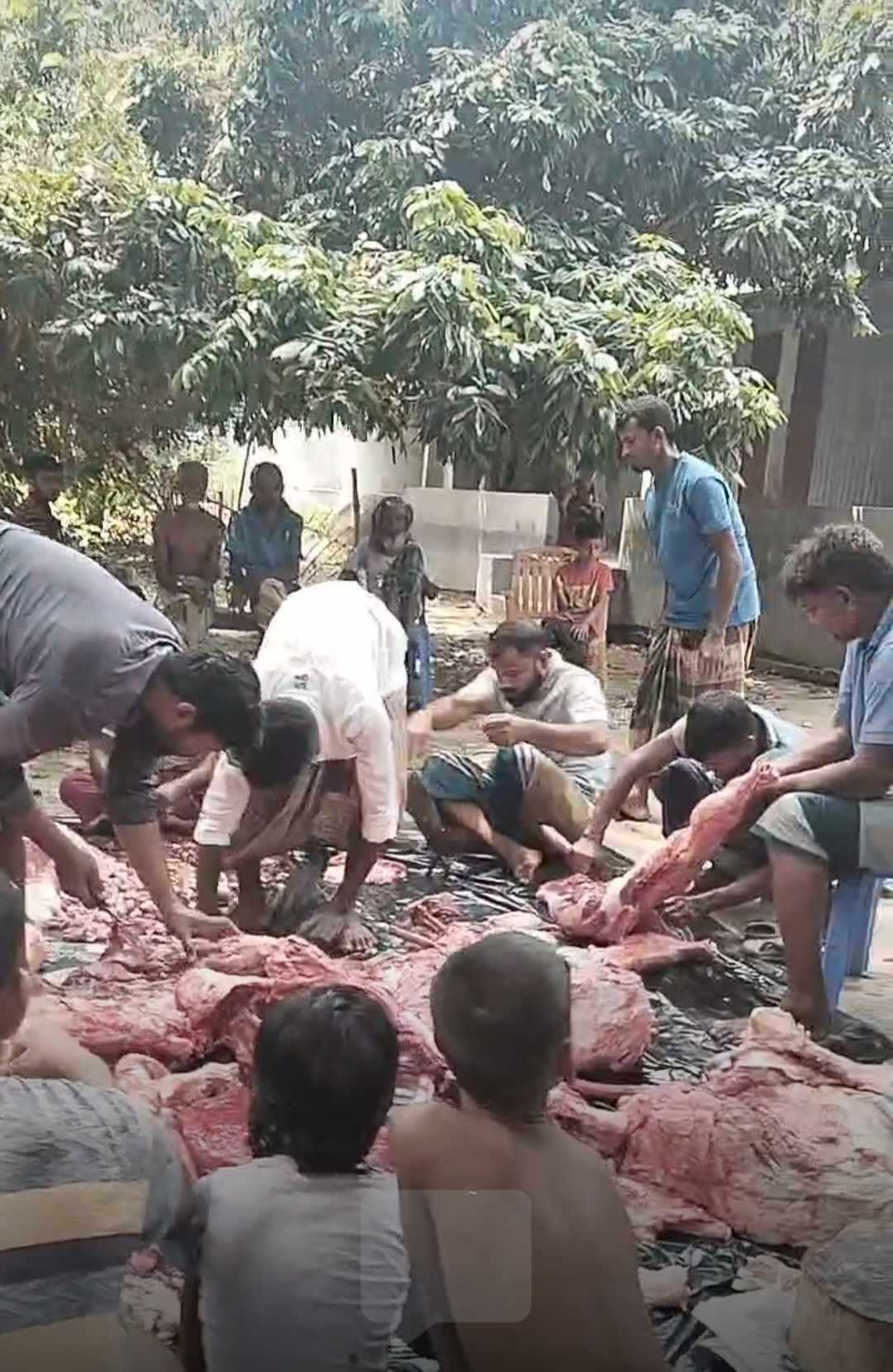 পাড়া-মহল্লায় সাড়া ফেলেছে ‘গোশত সমিতি’