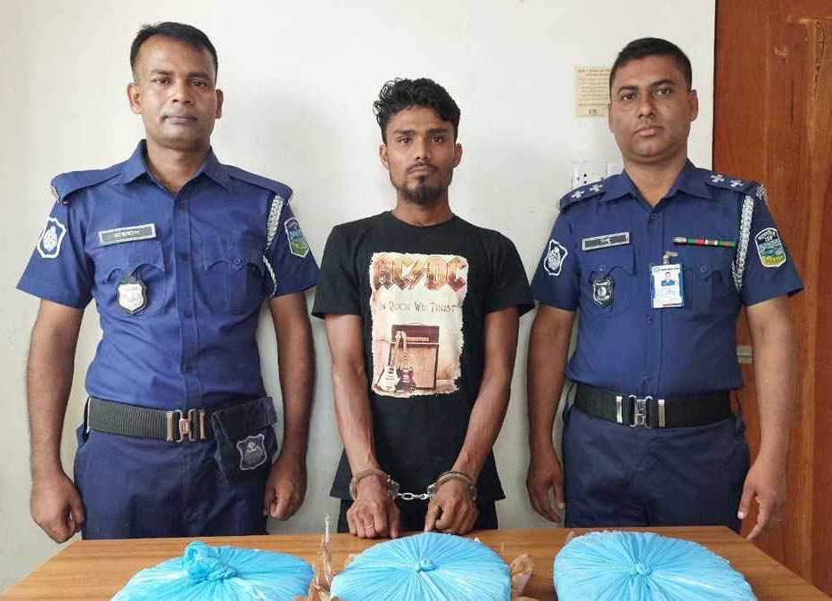 নেত্রকোনায় ৩ কেজি গাঁজাসহ আটক ১