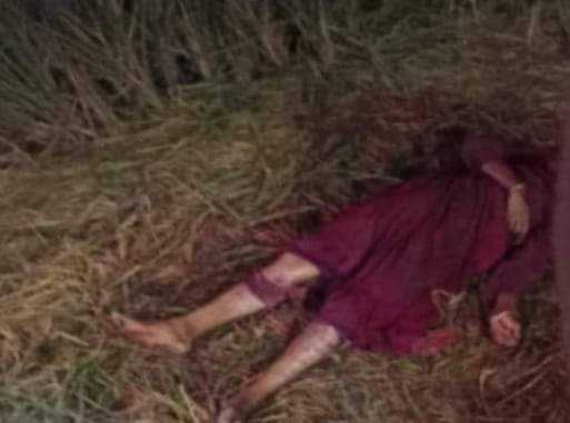 নান্দাইলে ধানক্ষেতে এক নারীর রক্তাক্ত লাশ।