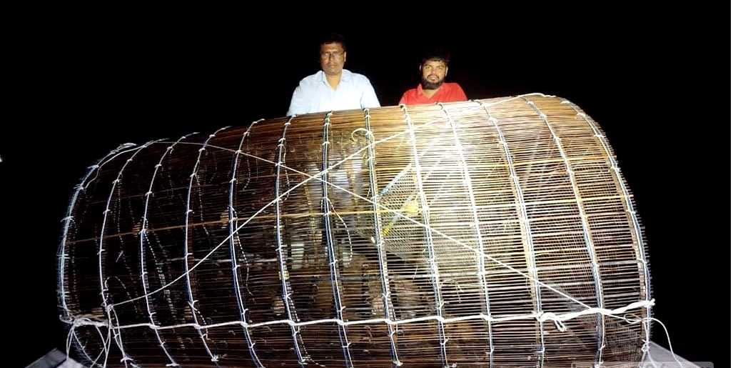 ‘দৈত্যাকার চাঁইয়ে’ ধ্বংস হচ্ছে নদীর পাঙাস মাছ
