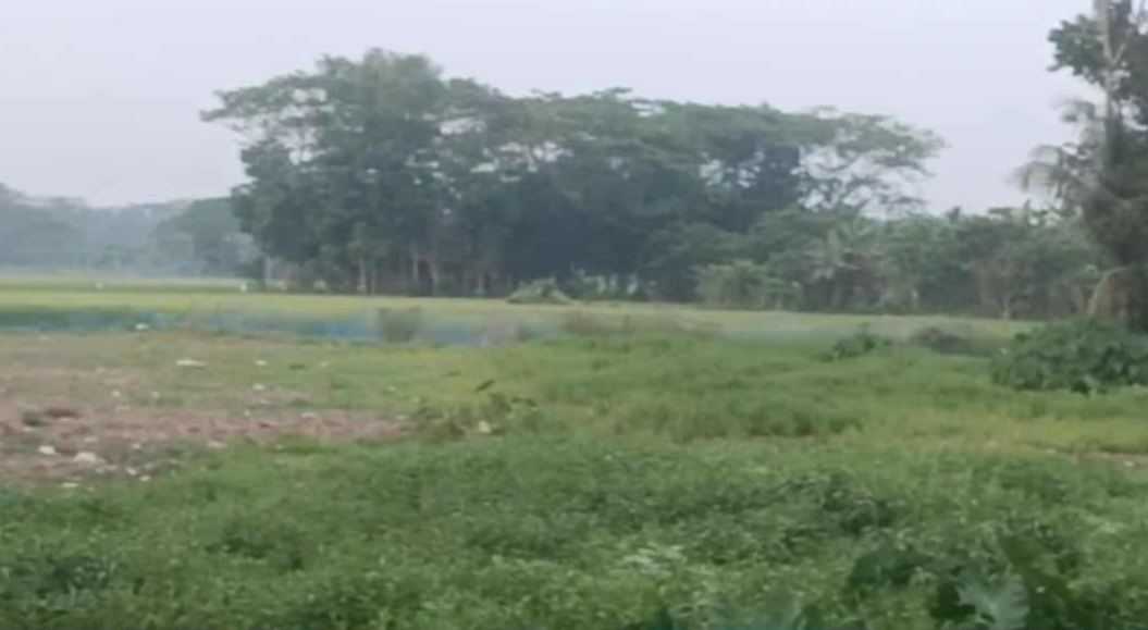 ক্রয়কৃত জমি ভরাটে বাধা দেওয়ার অভিযোগ