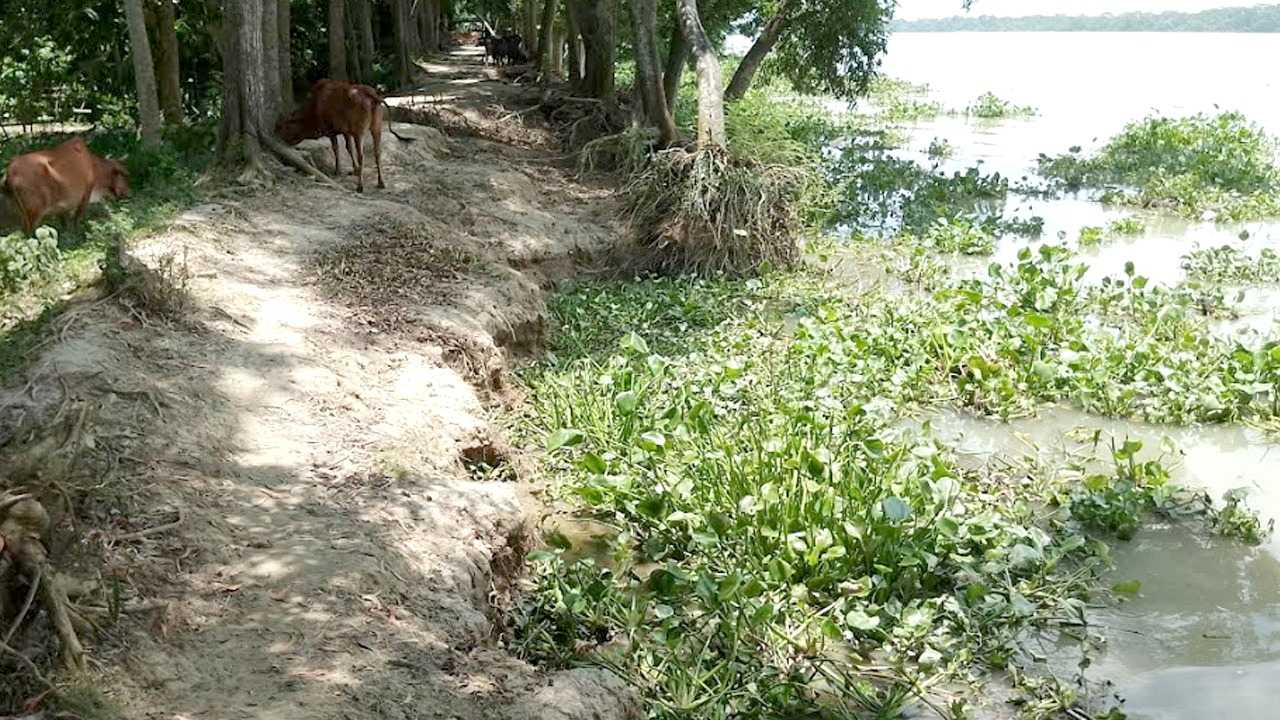 পিরোজপুরে ঘরবাড়ি হারানোর শঙ্কায় ২০ হাজার মানুষ