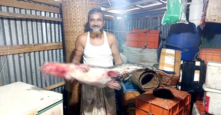 এক আইড় ১৮ হাজারে বিক্রি!