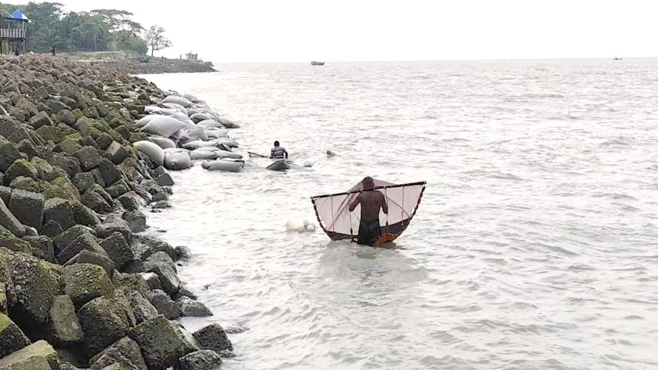 উপকূলে চিংড়ির রেণু শিকারের মহোৎসব