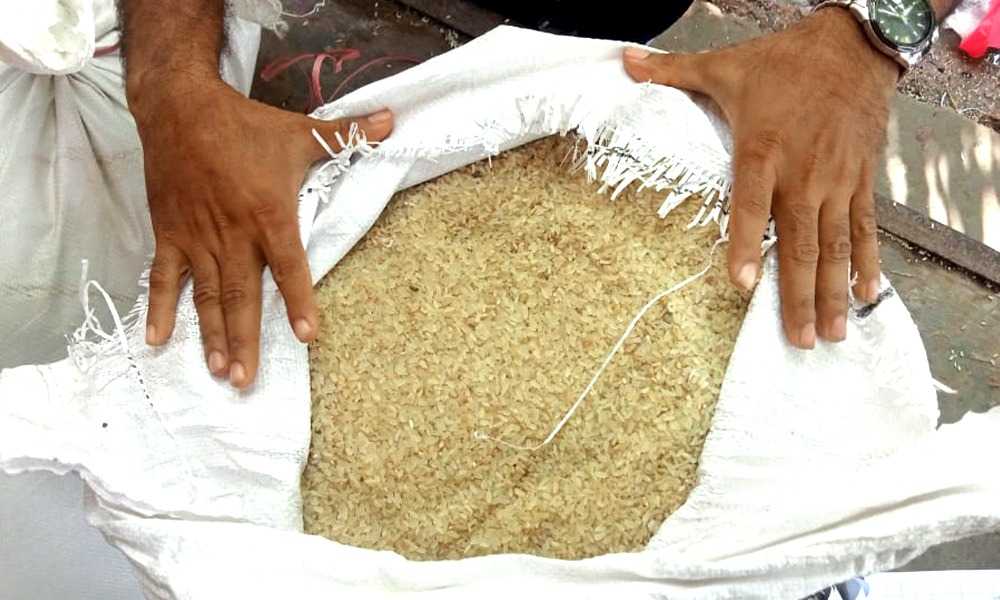 সরকারি খাদ্য গুদাম থেকে পচা চাল বিতরণের অভিযোগ