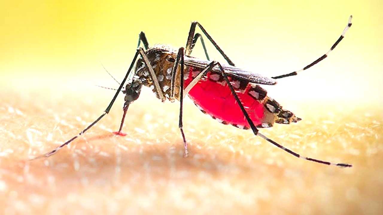 বরগুনায় ডেঙ্গুতে ব্যবসায়ীর মৃত্যু