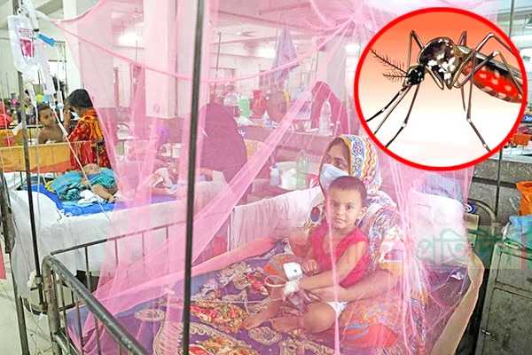 ডেঙ্গুতে বরিশালে আরও নারীর মৃত্যু, ১৫০ নতুন ভর্তি