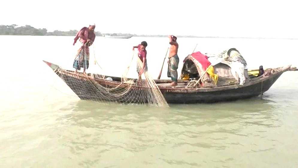 মেঘনা-তেঁতুলিয়ায় ভরা মৌসুমেও ইলিশের দেখা নেই