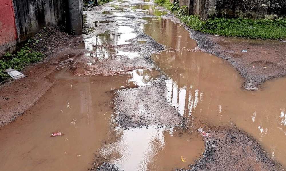 বানারীপাড়ায় জলাবদ্ধতা ও গর্তের দাপট