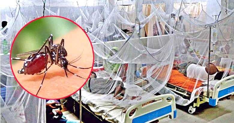 ডেঙ্গুতে নতুন আক্রান্ত ২০৪, অর্ধেকই বরিশাল বিভাগের