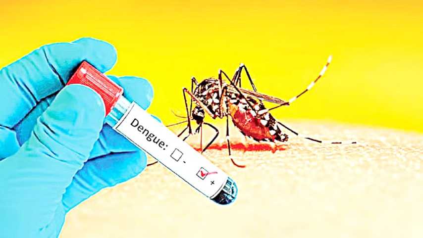 বরগুনায় ডেঙ্গুর লক্ষণ নিয়ে বিএনপি নেতার মেয়ের মৃত্যু