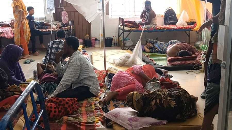 বরগুনায় ডেঙ্গু আক্রান্তের সংখ্যা ৪ হাজার ছাড়িয়েছে