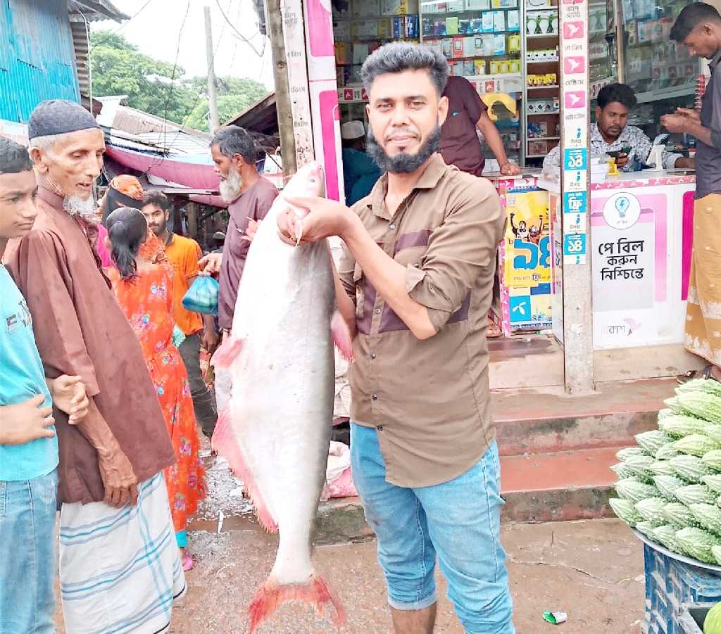 বড়শিতে উঠল ১১ কেজির পাঙাশ
