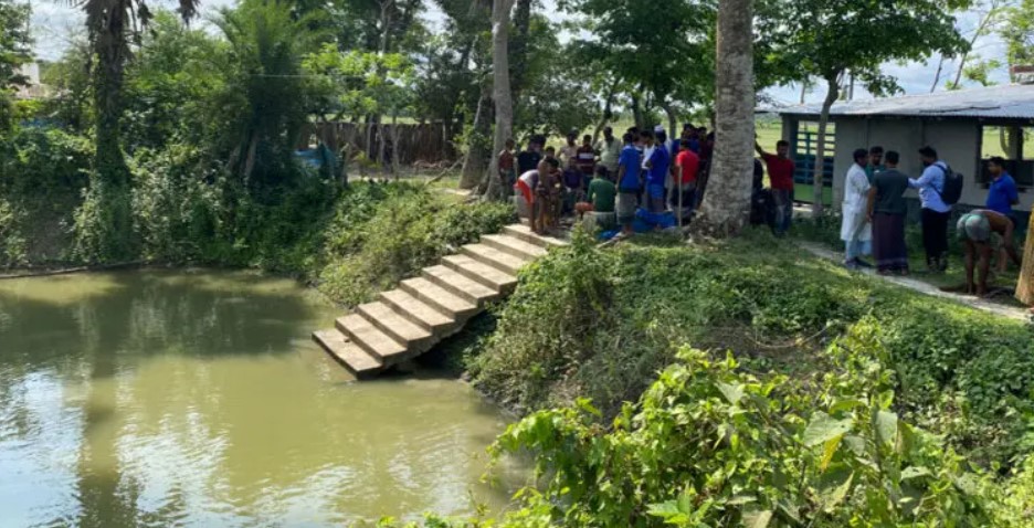 পিরোজপুরে পুকুরে বিষ প্রয়োগে মাছ নিধনের অভিযোগ