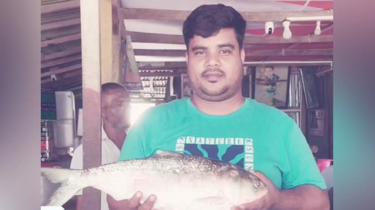 ভোলায় জেলের জালে ধরা পড়েছে রাজা ইলিশ, দাম ৯ হাজার