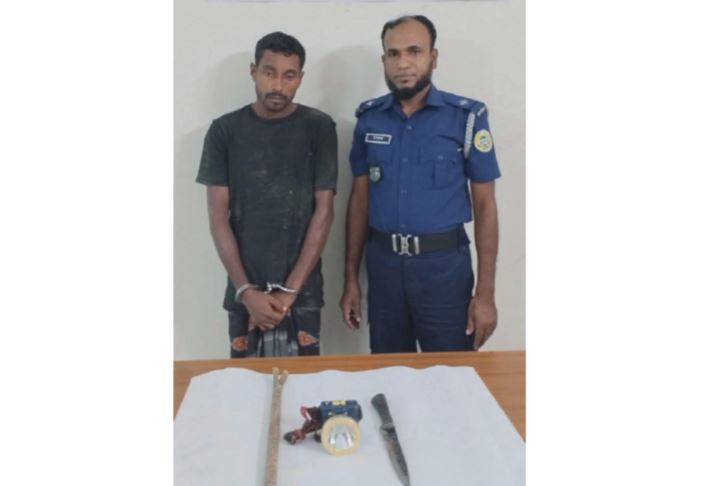 ভাণ্ডারিয়ায় বাড়িতে সিঁদ কেটে দস্যুতার চেষ্টা- গ্রেপ্তার ১