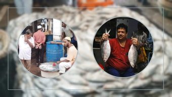 দুর্গাপূজায় ইলিশ চায় ভারত, মন গলবে বাংলাদেশের