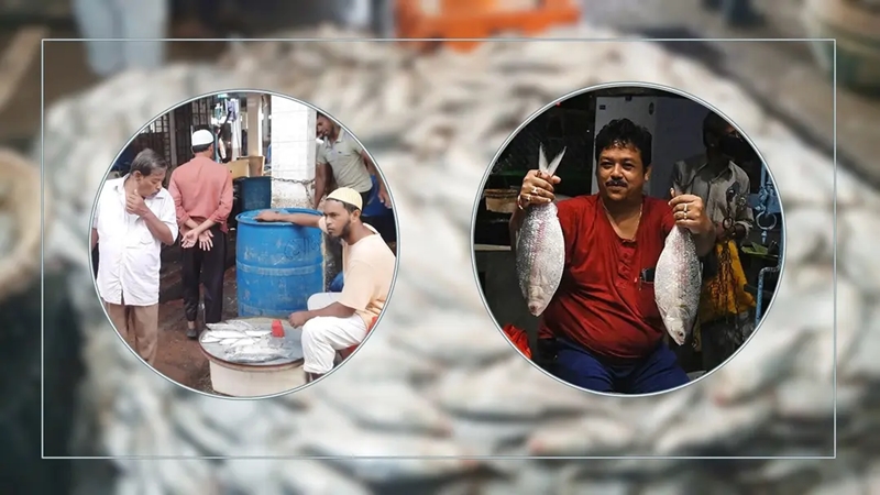 দুর্গাপূজায় ইলিশ চায় ভারত, মন গলবে বাংলাদেশের