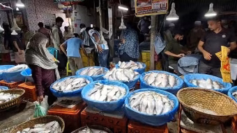 ইলিশের রাজধানী চাঁদপুরেও কেন চড়া দাম