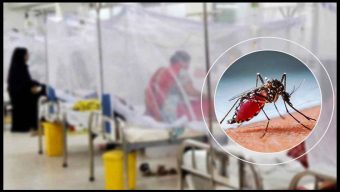 ডেঙ্গুতে একদিনে সর্বোচ্চ মৃত্যু, হাসপাতালে ভর্তির রেকর্ড
