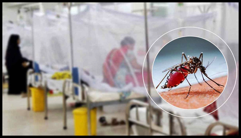ডেঙ্গুতে একদিনে সর্বোচ্চ মৃত্যু, হাসপাতালে ভর্তির রেকর্ড