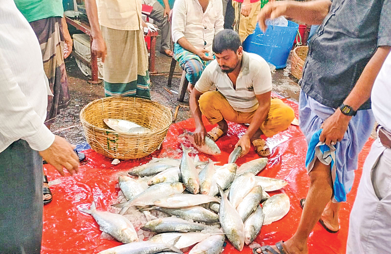 ব‌রিশালের নদ-নদী: ইলি‌শের দেখা, মা মাছ নিয়ে শঙ্কা