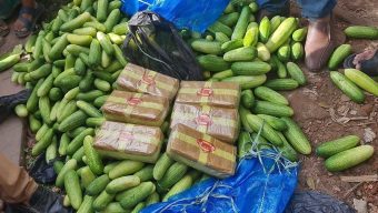 শসার বস্তা খুলতেই বের হলো ৬০ হাজার পিস ইয়াবা