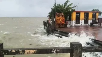 ঘূর্ণিঝড় অর্ণব: ভারী বৃষ্টি ও ঝোড়ো হাওয়ায় কাঁপছে ওড়িশা